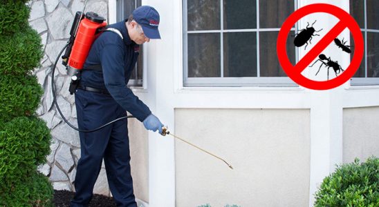 Kumlu Kemirgen İlaçlama böcek ilaçlama ve haşere kontrolü — ilaclama-tr.com